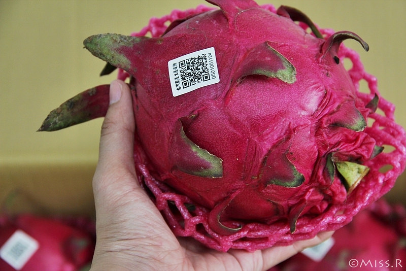 火龍果 火龍果營養 台南仁波霸火龍果 台灣火龍果 宅配火龍果 火龍果產地直送 有機小農 台南仁 台南水果推薦 波霸火龍果 宅配水果3