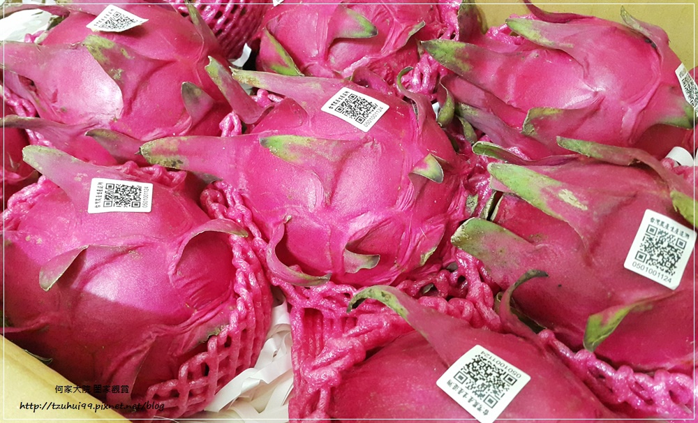 宅配美食台南仁波霸火龍果(產地直送) 06.jpg