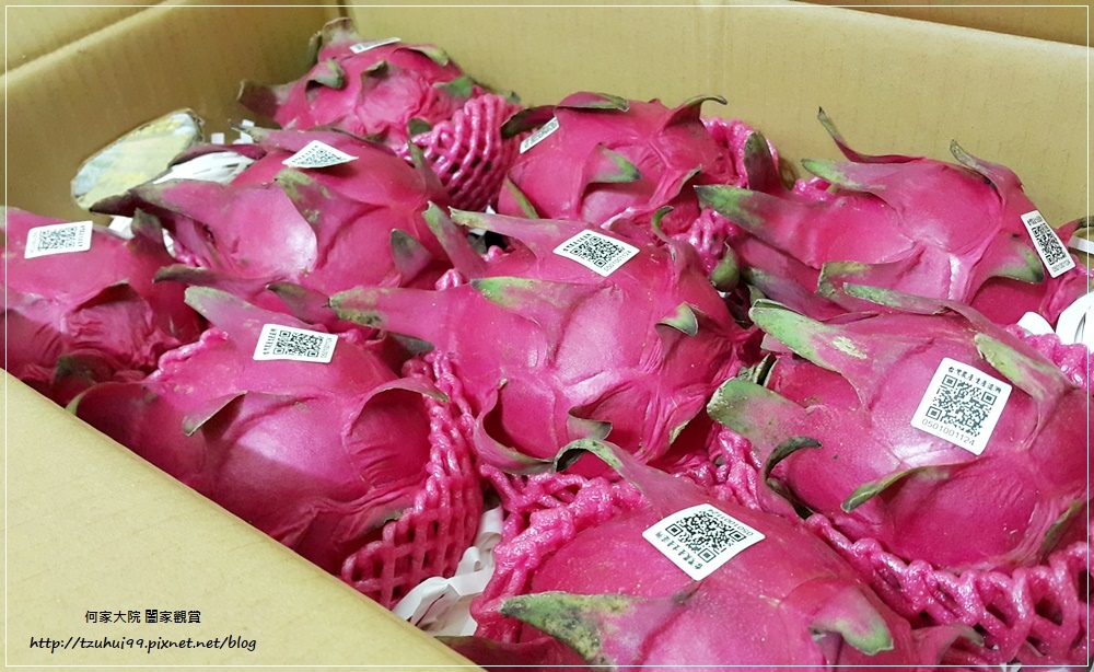 宅配美食台南仁波霸火龍果(產地直送) 05.jpg