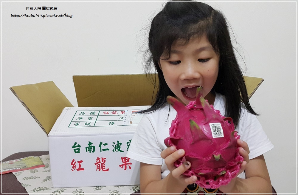 宅配美食台南仁波霸火龍果(產地直送) 09.jpg