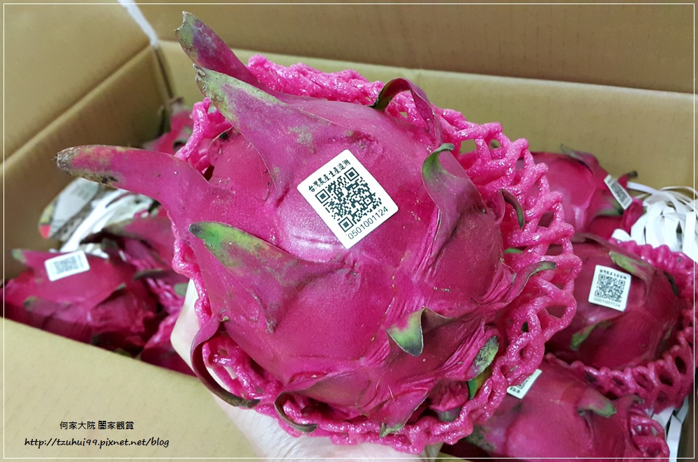 宅配美食台南仁波霸火龍果(產地直送) 07.jpg
