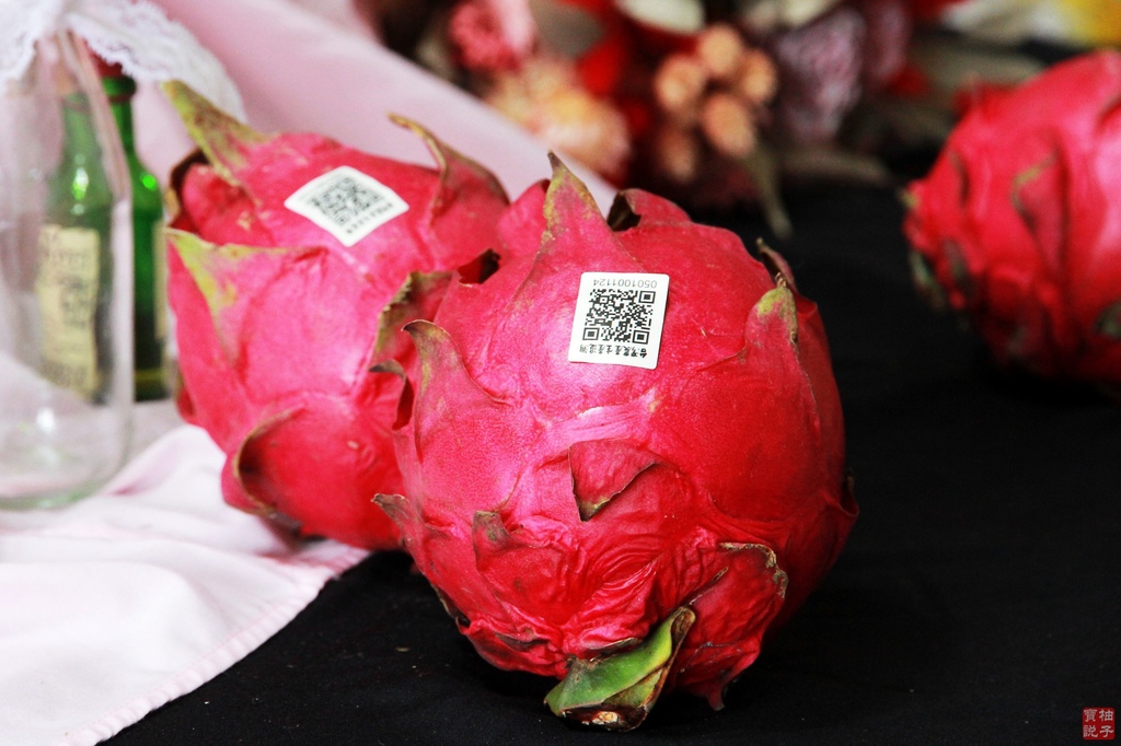 台南仁波霸火龍果_3230.jpg