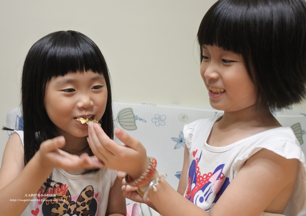 LeTAO巧克力雙層乳酪蛋糕 北海道澤西牛乳生乳捲7