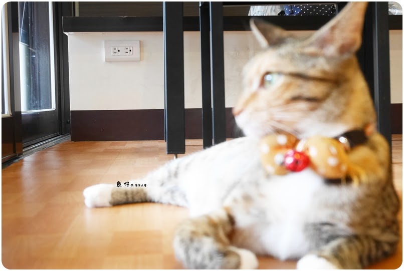 gsu7EIvQymRHPUNd2ugD6CDte_sCfZJQAAf-L2pu_OulYGiEKGepSgaftlf3412MvKzKVm1NMw5qqTj088_w0M1ZlyuoL7J-MXTj9Ier7y5dRqmaJiwNkREdWPjCItqBvW7V24HhnHJH62J1ylvAUEyYVqXGUkV8War84ybFKabC8LLpojLvUpqFcrFtBaCgNQ7KNSnZbx_bgpFU90aT0Yl7gbKdOiAp4G47qP-ds_FbXWTQeTyMq5zpx3SftWBvlqZ1VNypVMhjvE7_wHm4224yyFb-nD8iHGP7pH9Val6ZUEtv2L829DNoGNJjlGGNi7gxgebaAVJGlDhcffXbrxo2l4wn2goudX4eWeDYWPhTVz504h5Tc310aVya5J8q9Hco_w2u8WCF8okGxhlViSlHrJFzA7U-Tw0-BvPnDkuJkFt8rIumKAePaJn8uz2aRVRKzeBcRZO1RYsHUu8y4e0vkidr0StcICv5dwrMkKZO9-OhrSCNH1EHW7d8PvGEiHletWYxzMzFH7RrAR6YB8Vp0ACLx0PoxddBI3Jw4fr4x_XB_rmrkAGycwBoG7JkzHpRiU4tiWBHTZzp4Uguu2XcanDVFgE3QdqL2Mxm=w806-h541-no