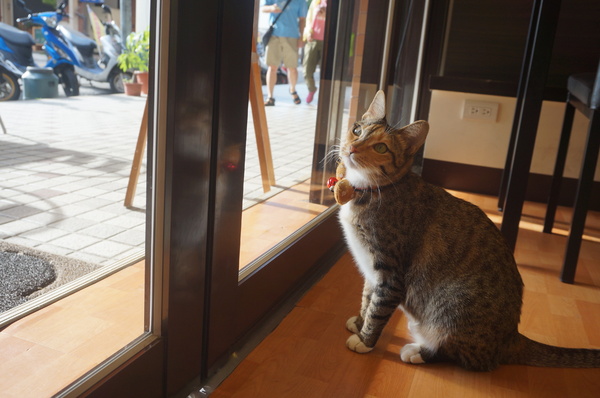 双黃手作料理：【食記。台中】双黃手作料理，晚鳥也能吃得到的平價早午餐！