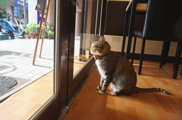 双黃手作料理：【食記。台中】双黃手作料理，晚鳥也能吃得到的平價早午餐！