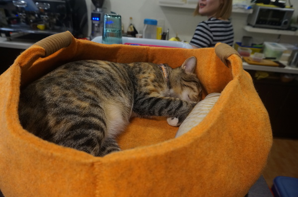 双黃手作料理：【食記。台中】双黃手作料理，晚鳥也能吃得到的平價早午餐！