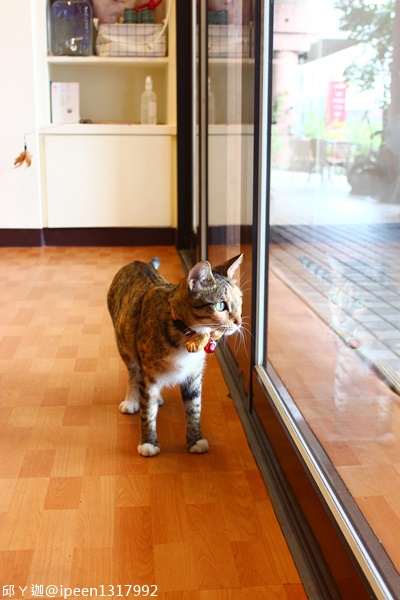 cm20180806___88888792d710dcbc609c0925697