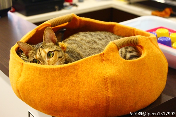 cm20180806___086d8ea41f9939115c9add505e7