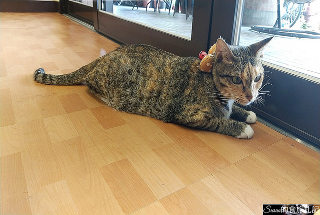 P_20180720_110542_vHDR_Auto