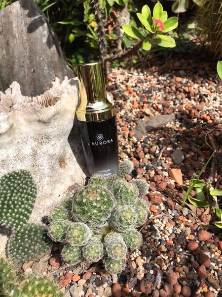 38442543_2204551369559030_1807246608077684736_n