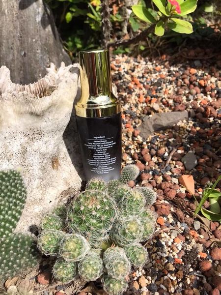 38278074_2204551316225702_5699431918303444992_n