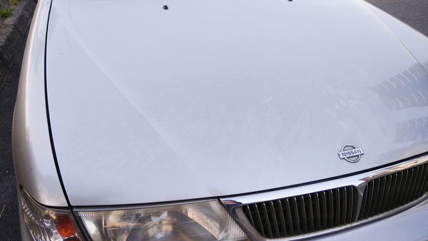 FW1清潔蠟-免水洗 (15).jpg