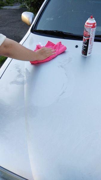 FW1清潔蠟-免水洗 (19).jpg