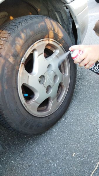 FW1清潔蠟-免水洗 (25).jpg