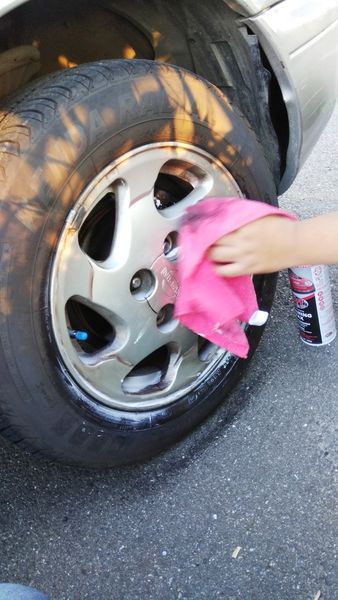 FW1清潔蠟-免水洗 (27).jpg