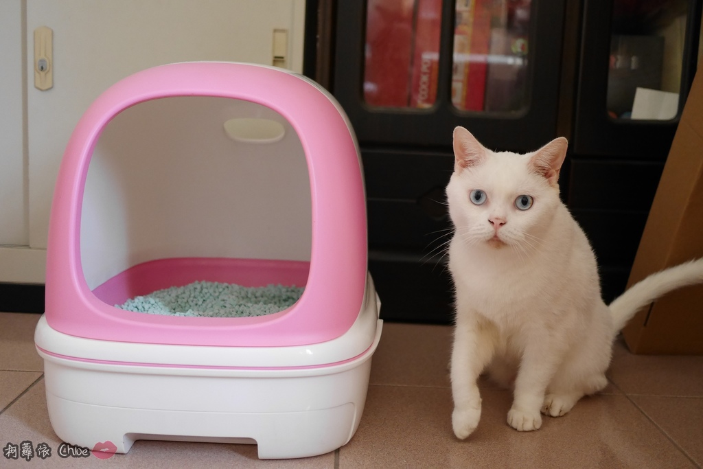 日本PGT萬德福環保豆腐砂環保貓砂可沖馬桶23.JPG