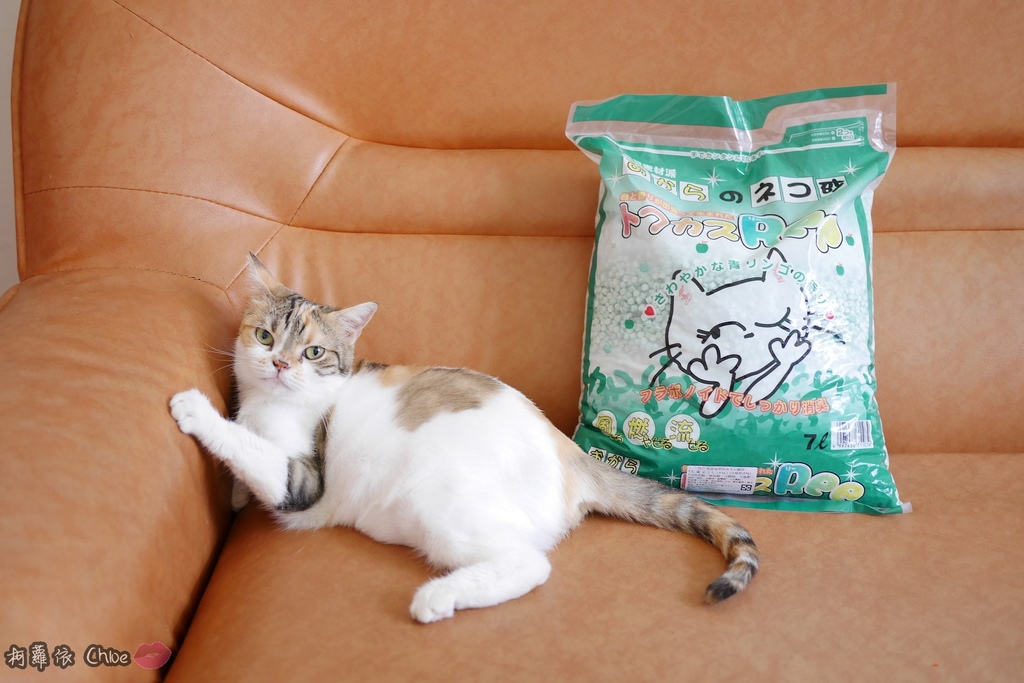 日本PGT萬德福環保豆腐砂環保貓砂可沖馬桶2.JPG