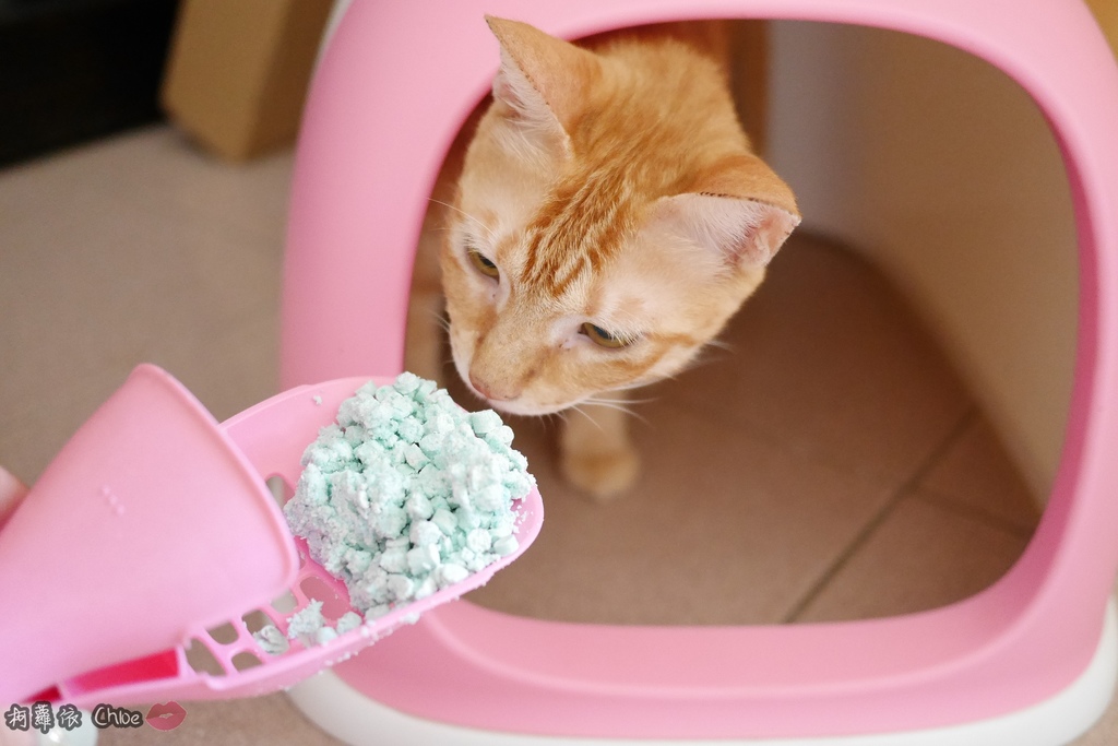 日本PGT萬德福環保豆腐砂環保貓砂可沖馬桶19.JPG