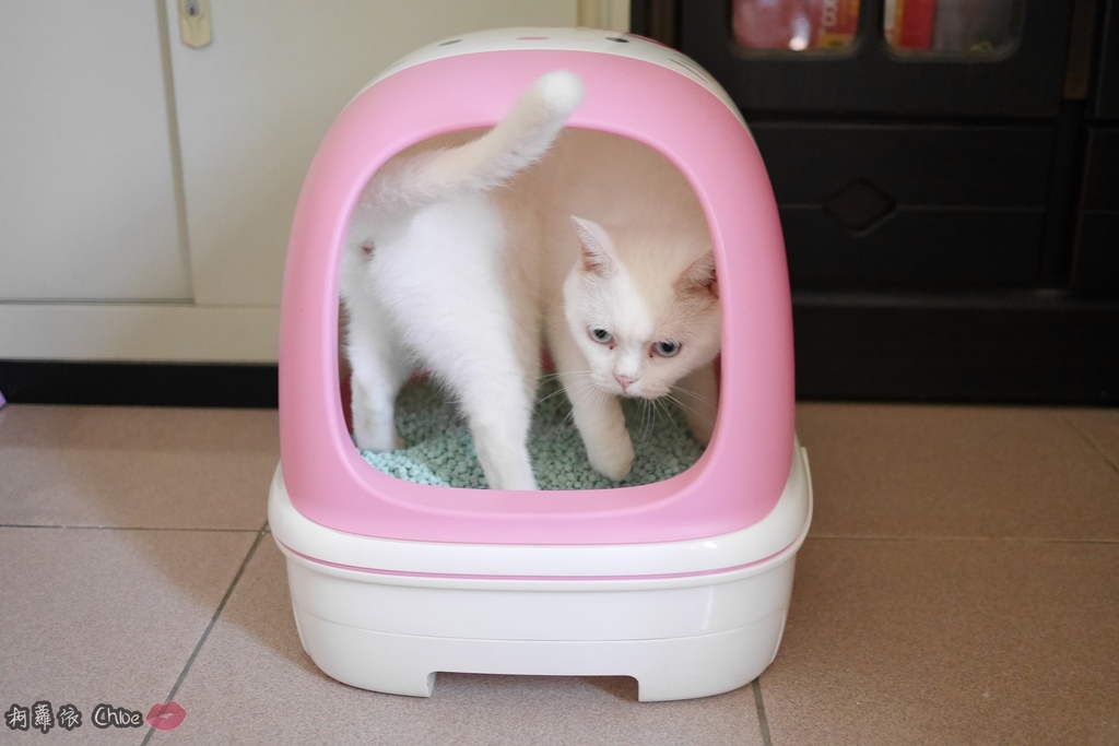 日本PGT萬德福環保豆腐砂環保貓砂可沖馬桶15.JPG
