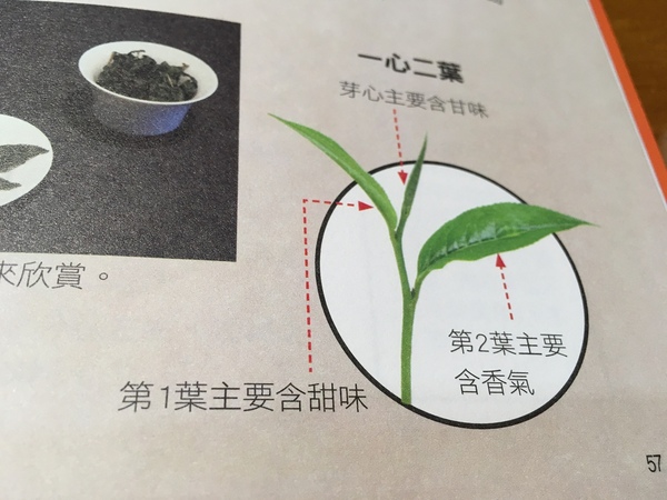 台灣茶路：《享食》台灣茶路║宅配茶葉，紅茶春茶，好茶值得推薦給愛喝茶的你。