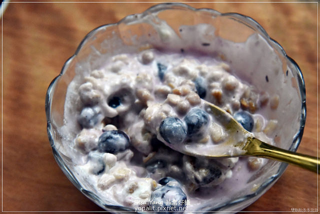 普羅家族優格機