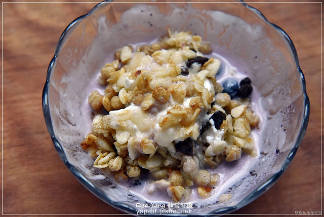 普羅家族優格機