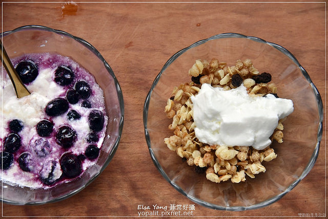 普羅家族優格機