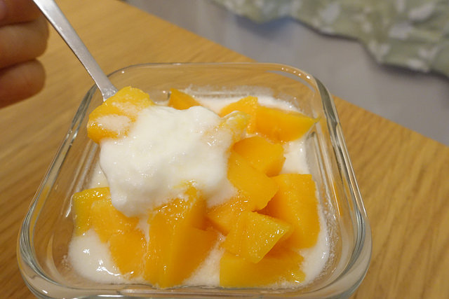 2018普羅優格機 (1)