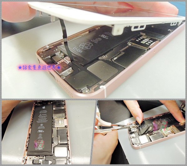 batch_collage meet .png