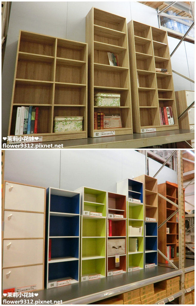 B%26;Q 特力屋 寵物有善店家 寵物專車 (6).jpg