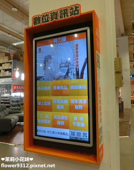 B%26;Q 特力屋 寵物有善店家 寵物專車 (14).JPG