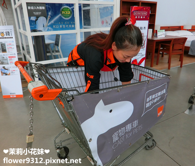 B%26;Q 特力屋 寵物有善店家 寵物專車 (3).JPG