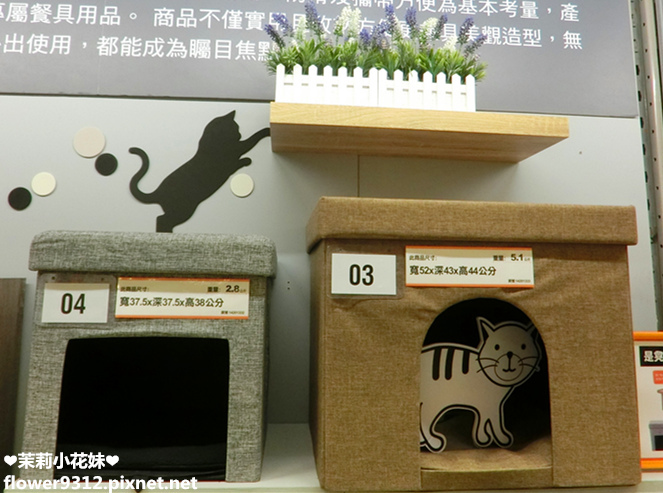 B%26;Q 特力屋 寵物有善店家 寵物專車 (10).jpg