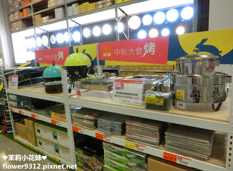 B%26;Q 特力屋 寵物有善店家 寵物專車 (15).JPG