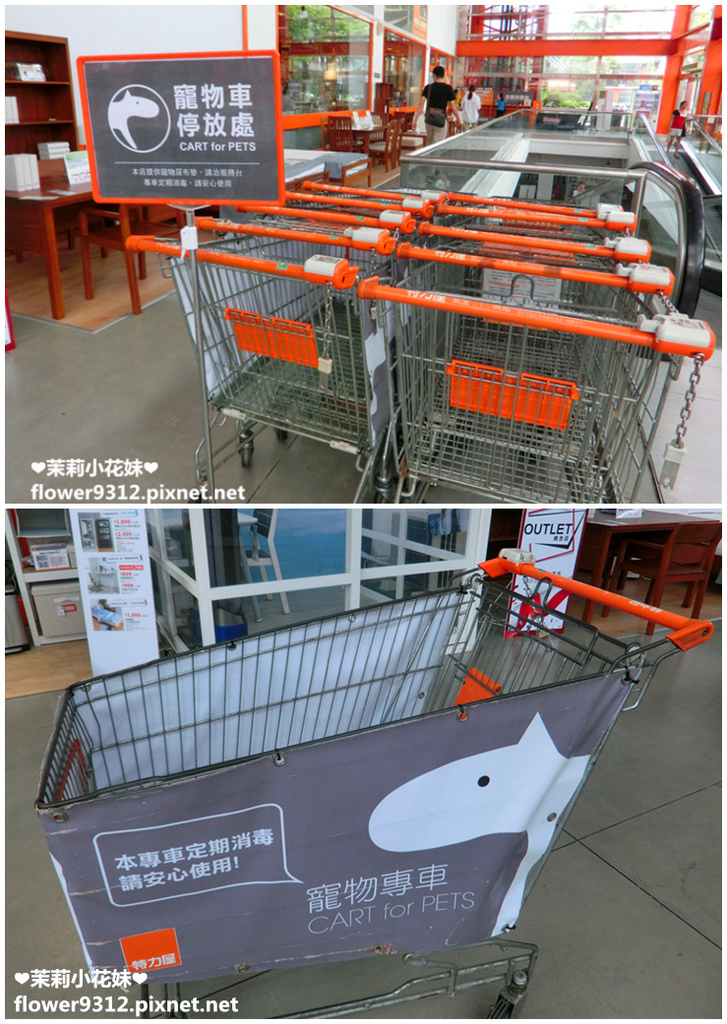 B%26;Q 特力屋 寵物有善店家 寵物專車 (2).jpg