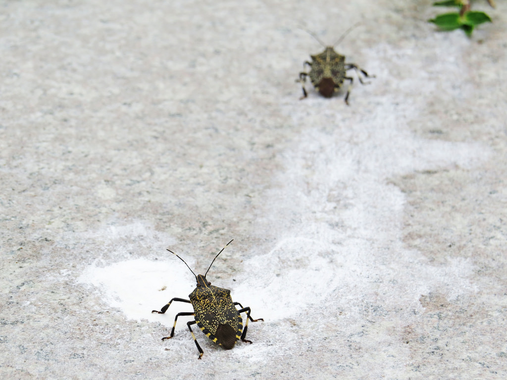 Aura Villa悠悅光宜蘭民宿推薦(兩光媽咪柳幼幼) (76)