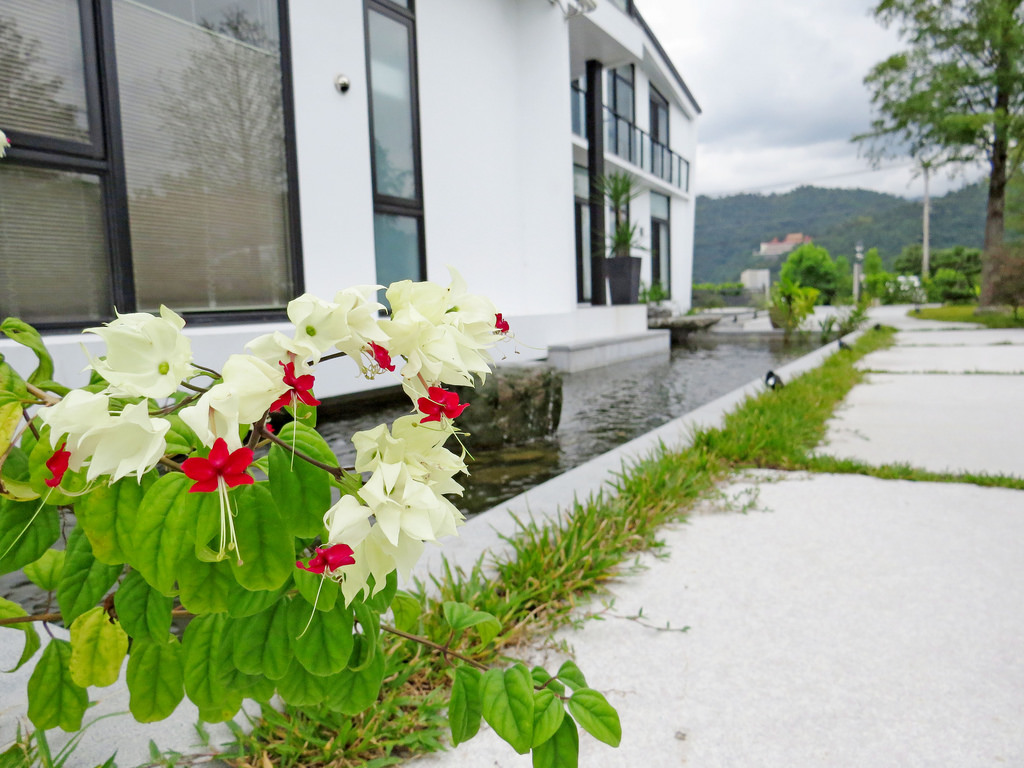 Aura Villa悠悅光宜蘭民宿推薦(兩光媽咪柳幼幼) (77)