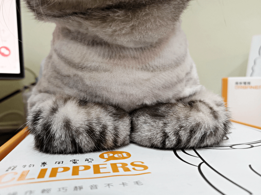 寵物電動剃毛刀推薦