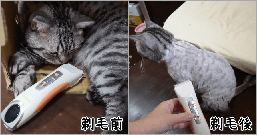 寵物電動剃毛刀推薦