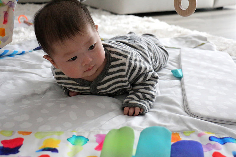 The Play Gym by Lovevery