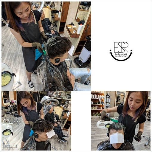 Alice髮型設計 (5)