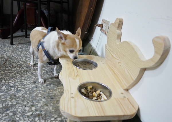 特力屋-內湖手創空間：特力屋-內湖手創空間