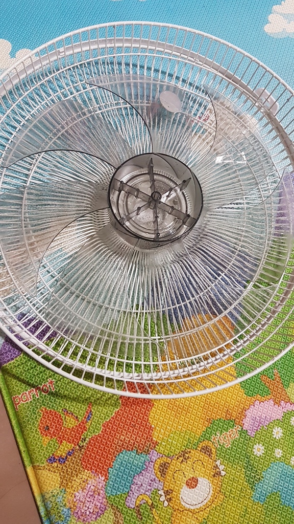 家事_181120_0062 - 複製.jpg