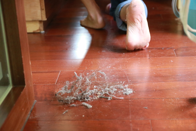 IMG_5654.JPG - 暫存