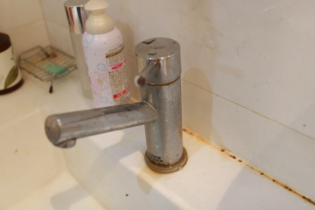 IMG_5499.JPG - 暫存