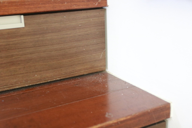 IMG_5460.JPG - 暫存