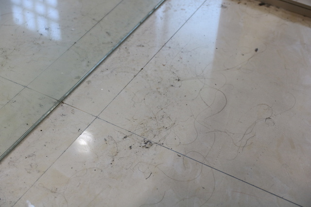 IMG_5481.JPG - 暫存