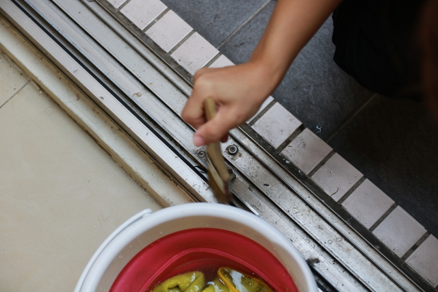 IMG_5745.JPG - 暫存