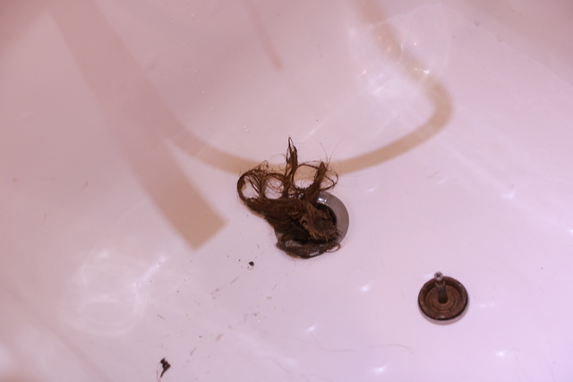 IMG_5776.JPG - 暫存